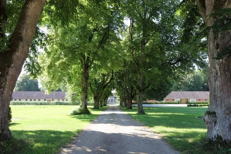 Alte Lindenallee mit Kiesweg, im Hintergrund die Gebäude des Anwesens